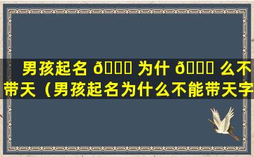 男孩起名 🐘 为什 🐒 么不能带天（男孩起名为什么不能带天字旁）